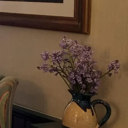 Szálloda White Sands 3*