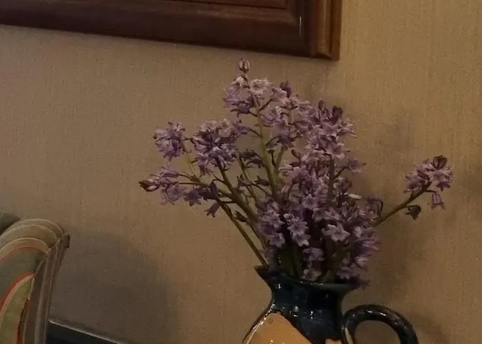 Hotel White Sands 3*